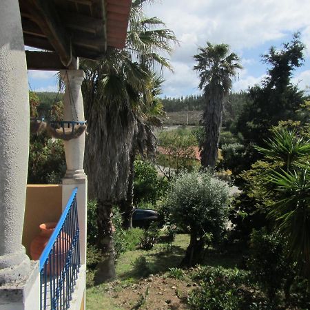 Casa Amarela Daire Sao Pedro de Tomar Dış mekan fotoğraf